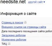 Yandex Tic Je! Yandex Tic 10 inamaanisha nini